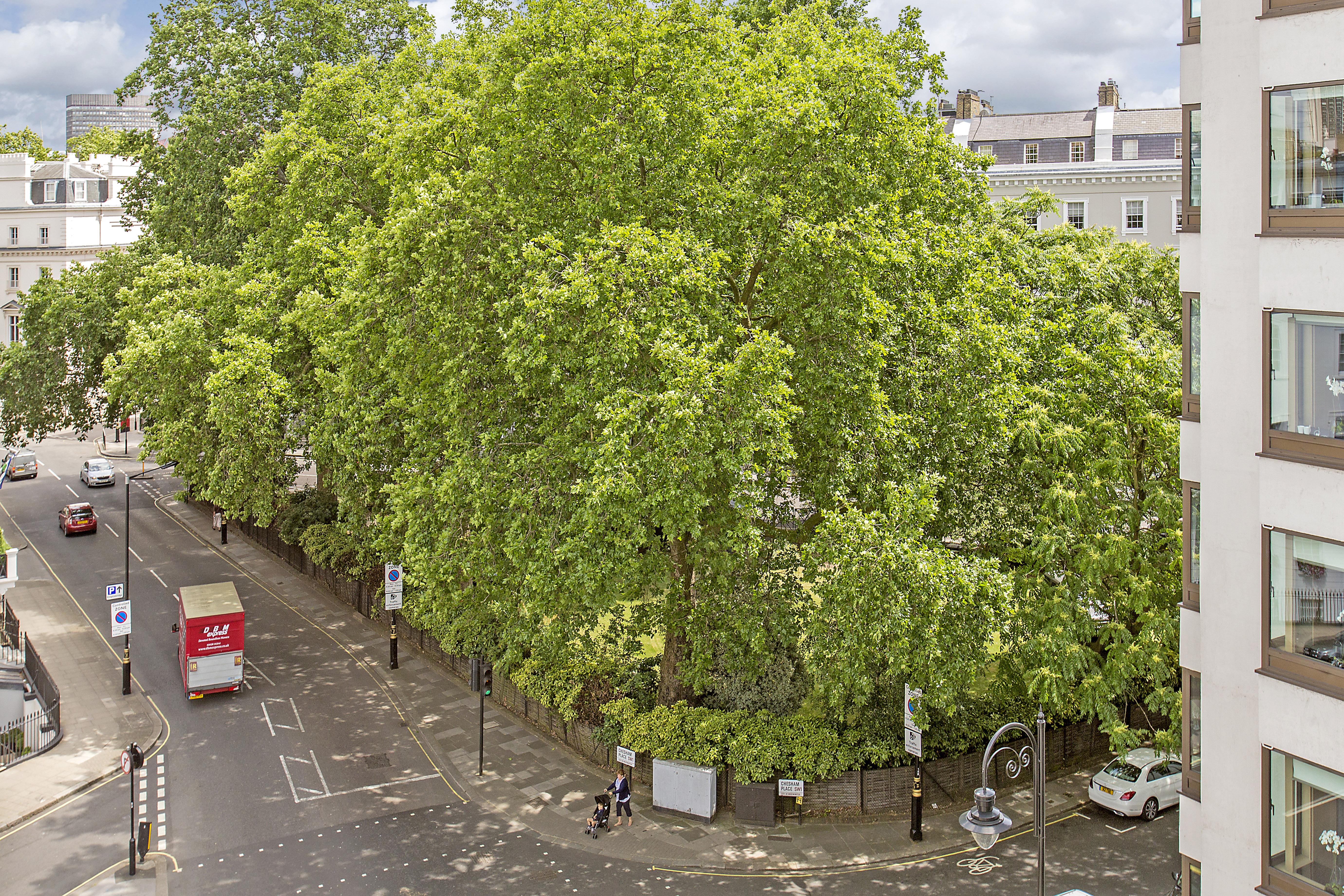 Chesham Court Knightsbridge Apart-hotel